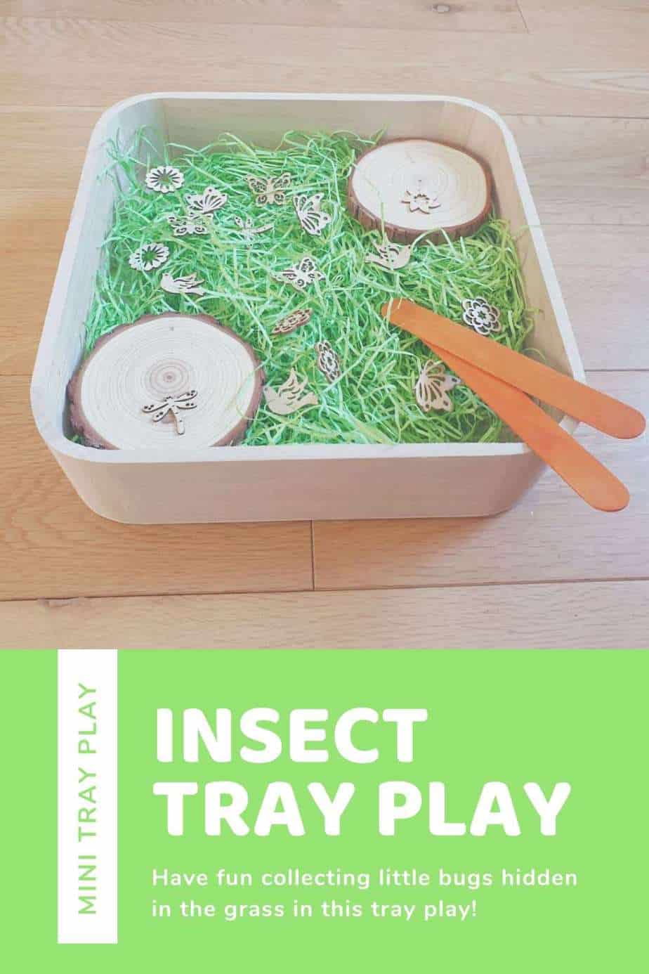 insect play tray insect play tray