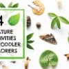 toddler and preschooler nature crafts and activities